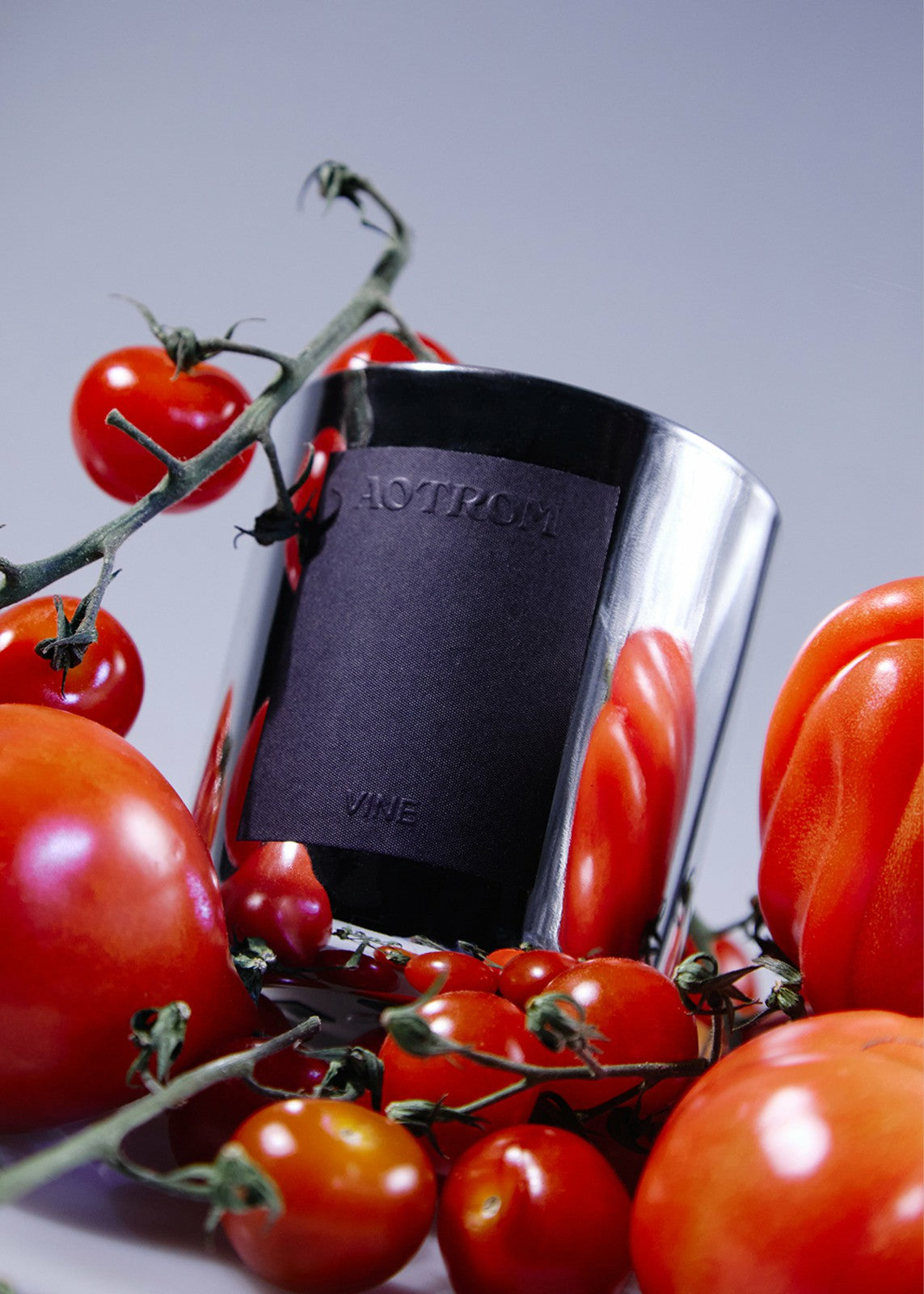 AOTROM Vine Candle - Silver